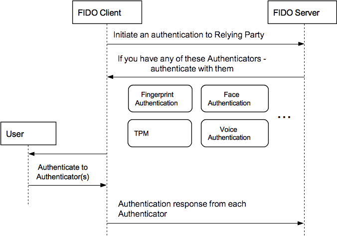 FIDO protocol authentication